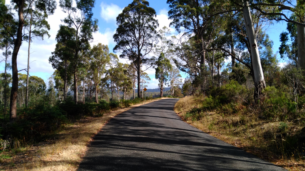 2018.  Week 8.  Including a Brompton&nbsp;ride