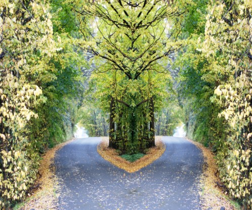 Mirrored River Road V small