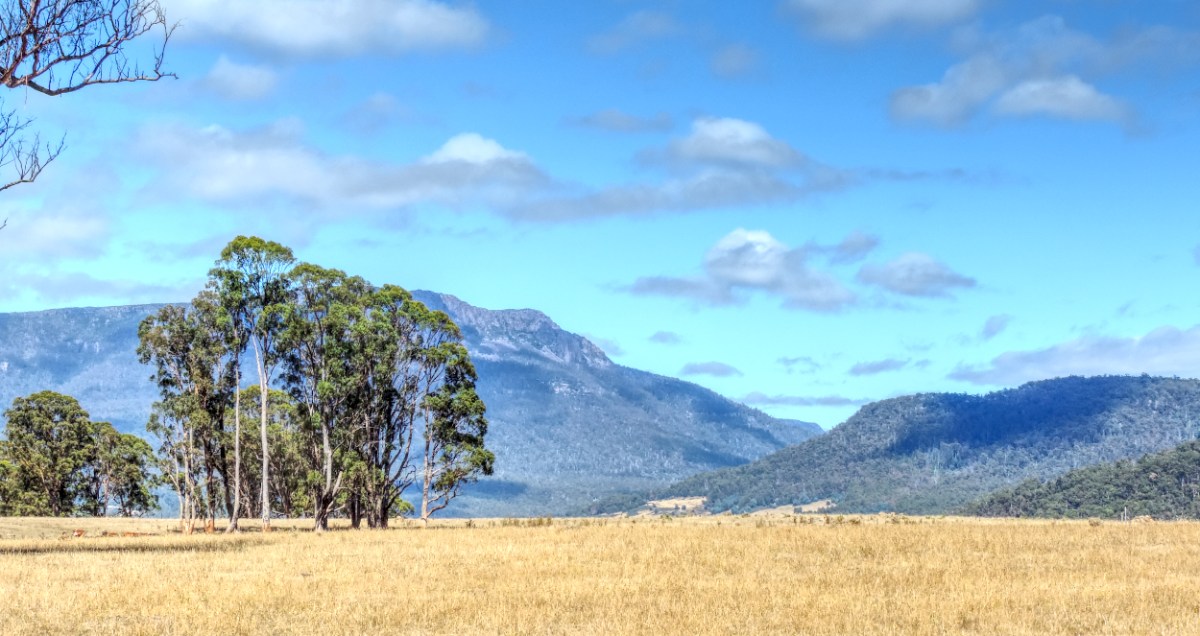 Week 6.  Part II.  The way&nbsp;home