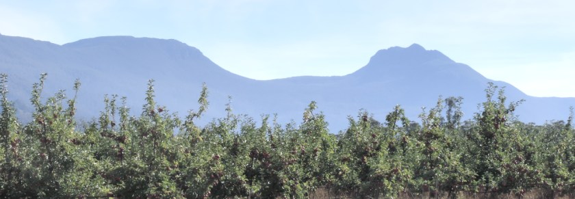 Bullock Hill to the Huon 5 small