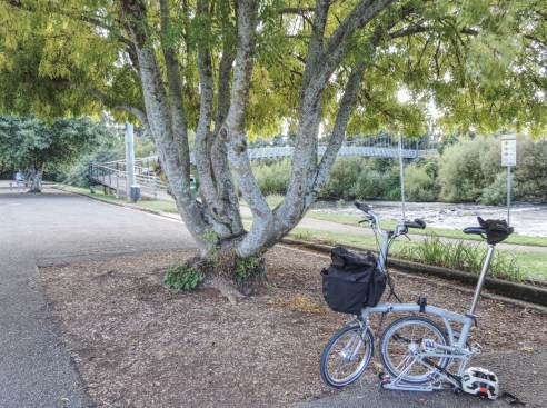 Deloraine Friday 2 small