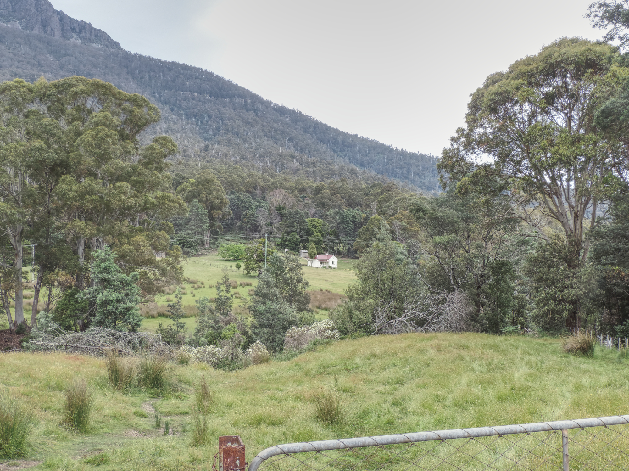 Liffey II Pic 5 small