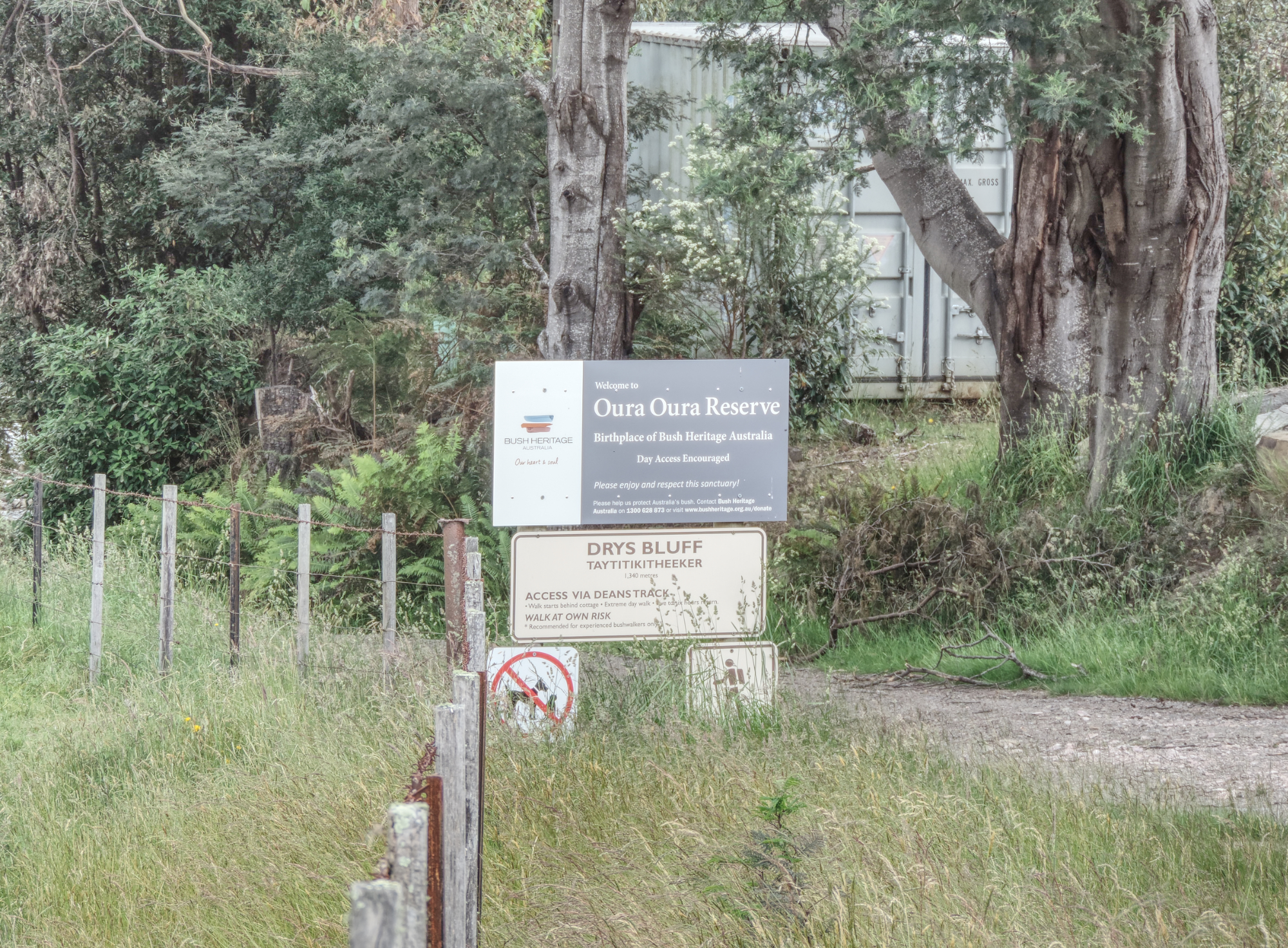 Liffey II Pic 6 small