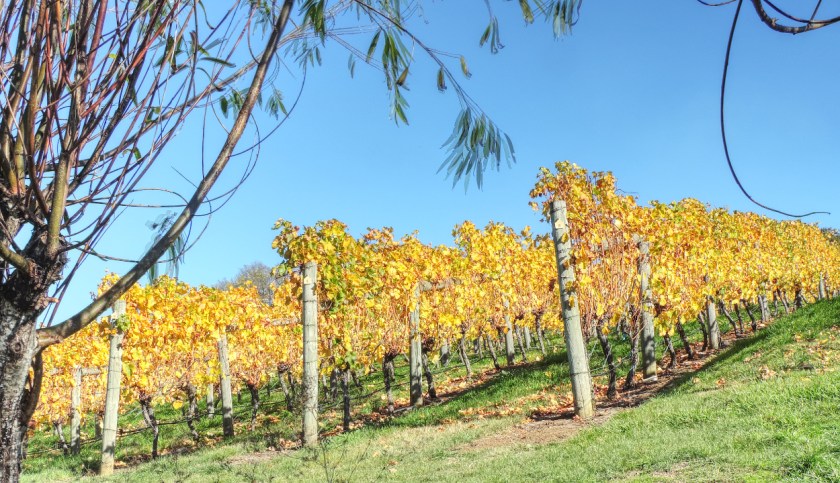 Rosevears Drive 12 small