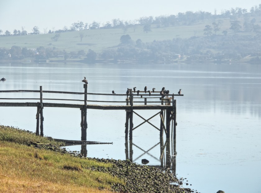 Rosevears Drive 2 small