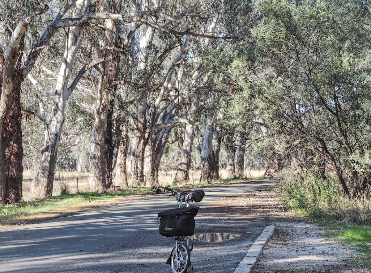 First short ride on the Murray to Mountains Rail&nbsp;Trail