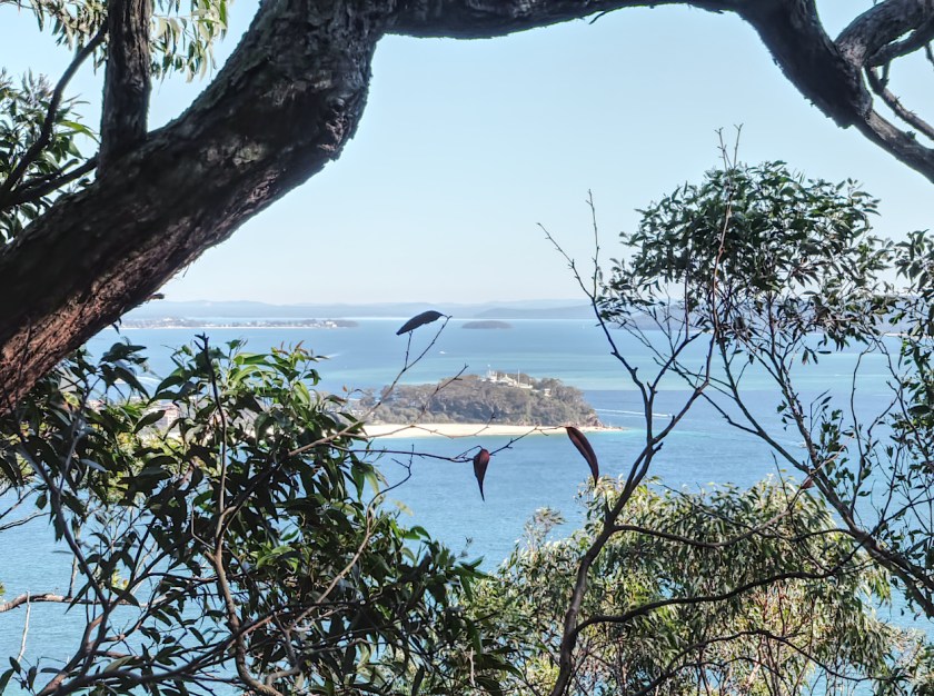 Tomaree 7 small