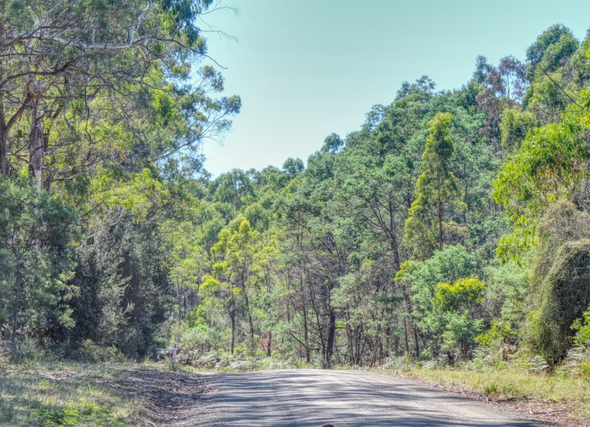 Four Springs Lake 6 small