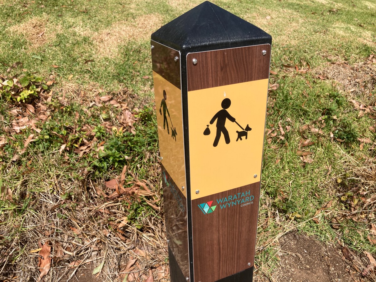 January 2021.  Resolutions and&nbsp;Goals