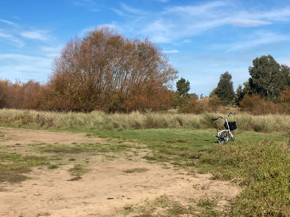 30 Days of Biking (Week 3 –&nbsp;2021)