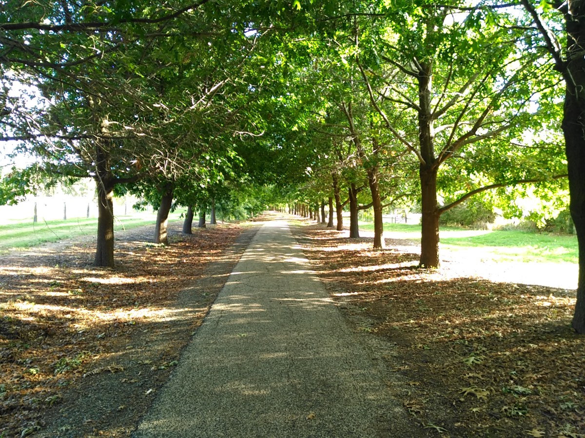 VRT – Beechworth to&nbsp;Myrtleford