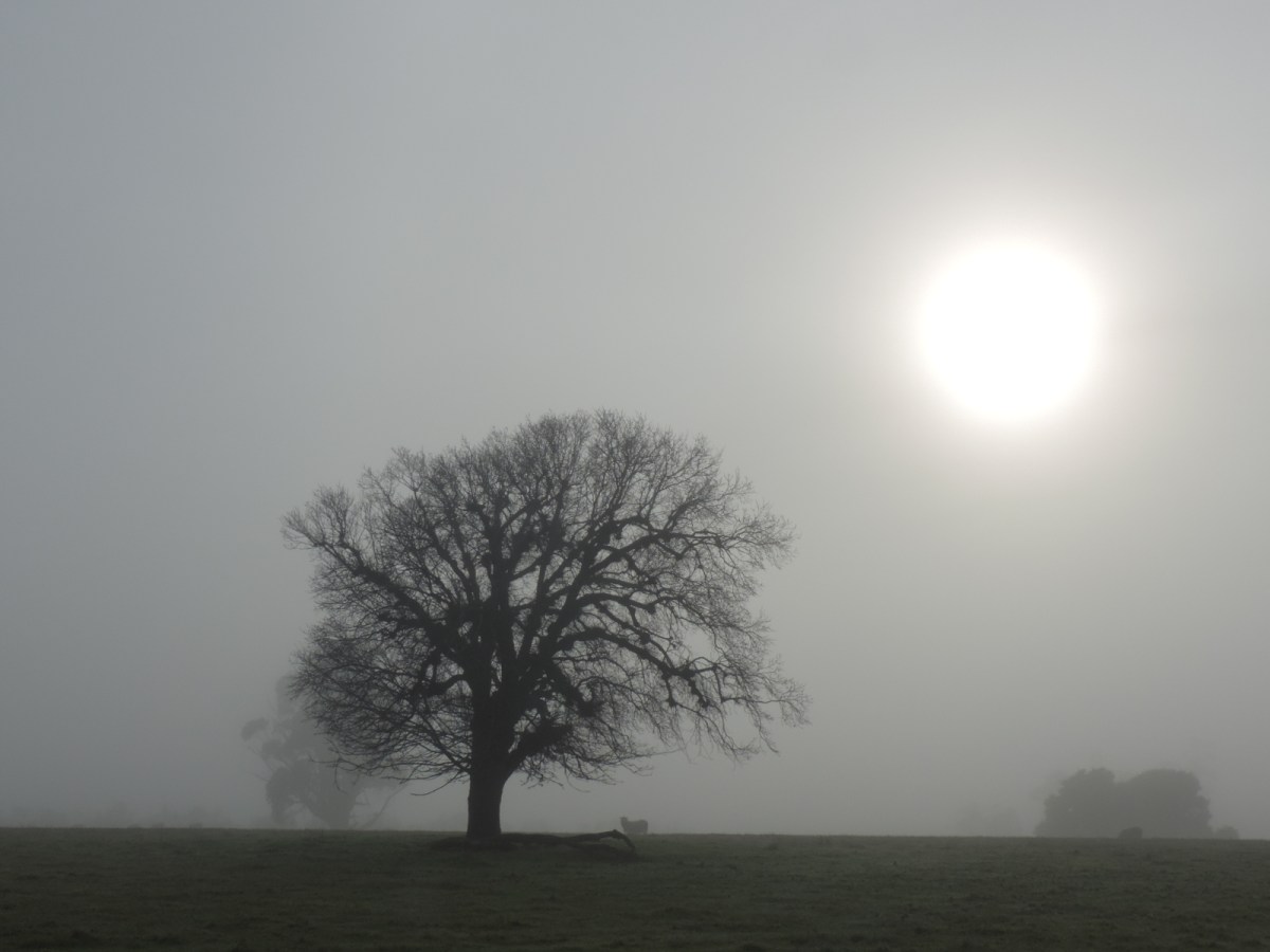 Nearly the winter Solstice –&nbsp;2023.