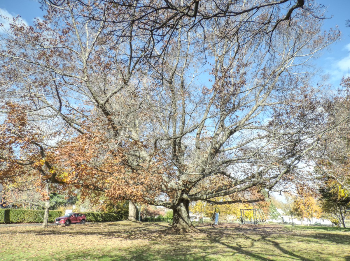 Riding my age in&nbsp;2025